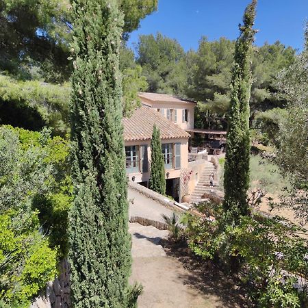 Villa Des Oliviers Sanary-sur-Mer Kültér fotó