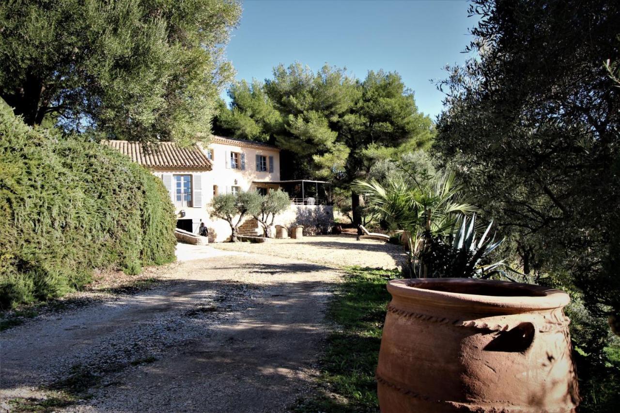 Villa Des Oliviers Sanary-sur-Mer Kültér fotó
