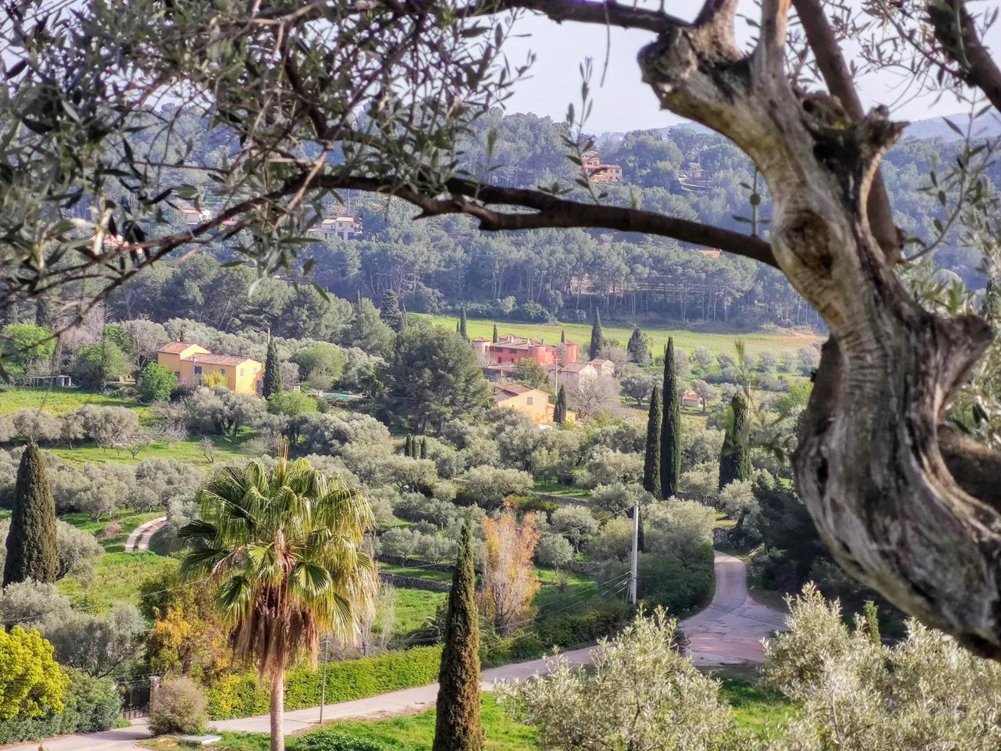 Villa Des Oliviers Sanary-sur-Mer Kültér fotó