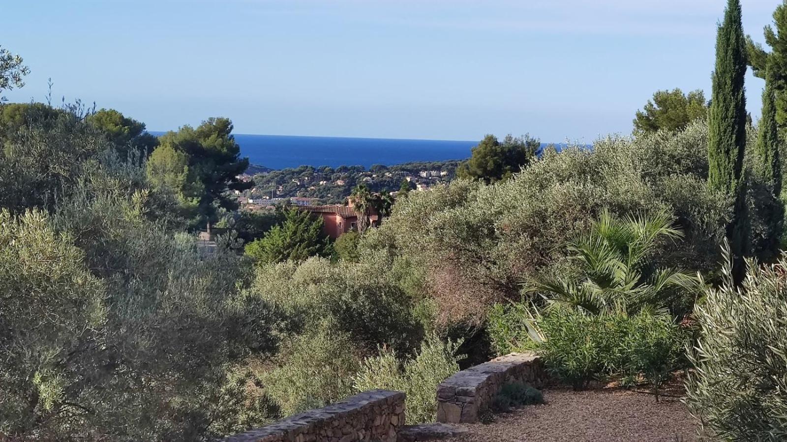 Villa Des Oliviers Sanary-sur-Mer Kültér fotó